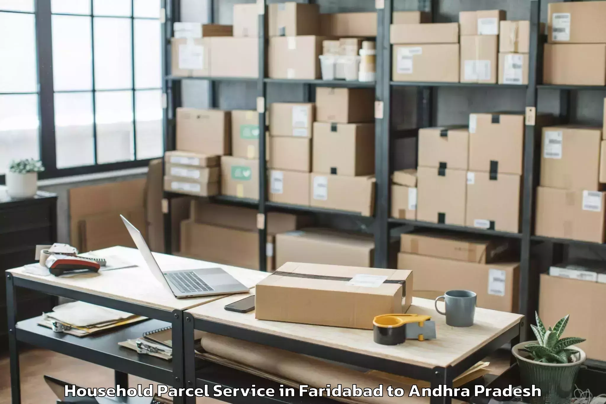 Expert Faridabad to Jaggampeta Household Parcel